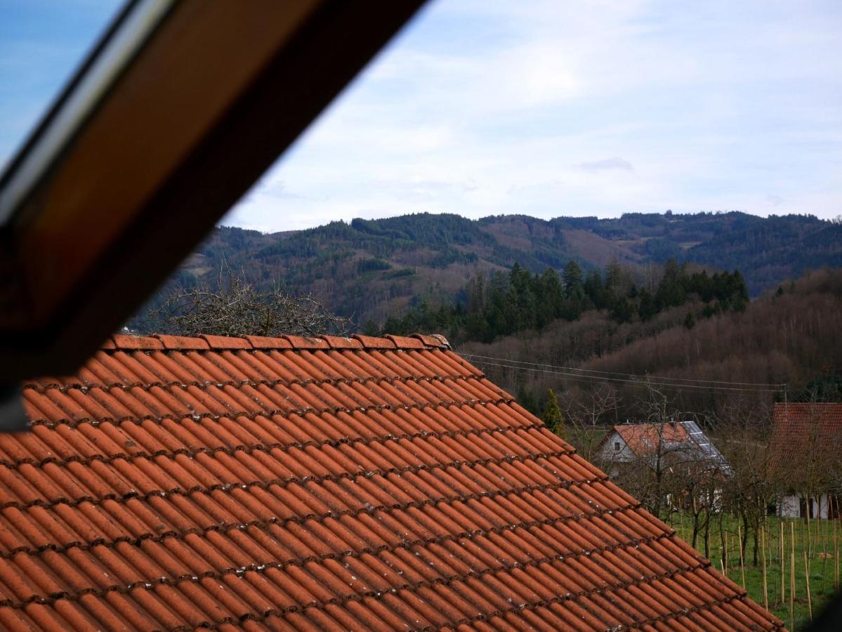 Ferienwohnung Obere Alm Oberkirch  Zewnętrze zdjęcie