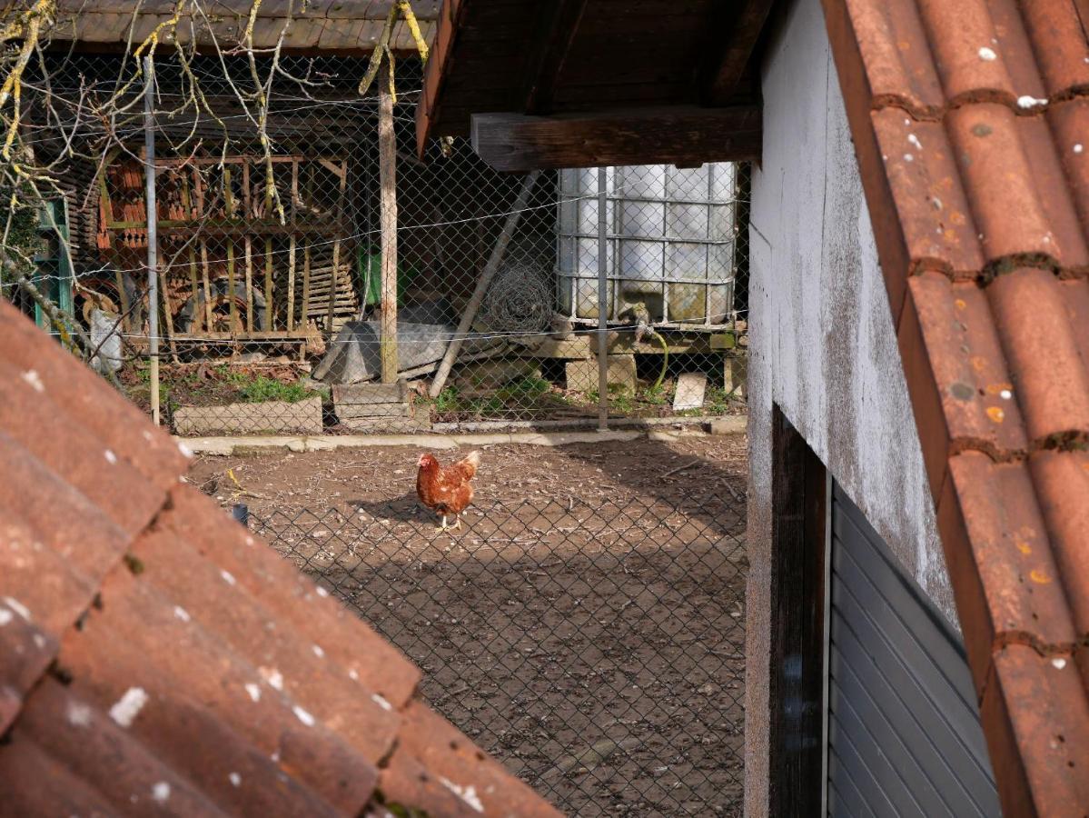 Ferienwohnung Obere Alm Oberkirch  Zewnętrze zdjęcie